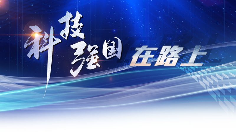 互联网技术开发：从基础到前沿的技能图谱**